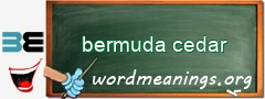 WordMeaning blackboard for bermuda cedar